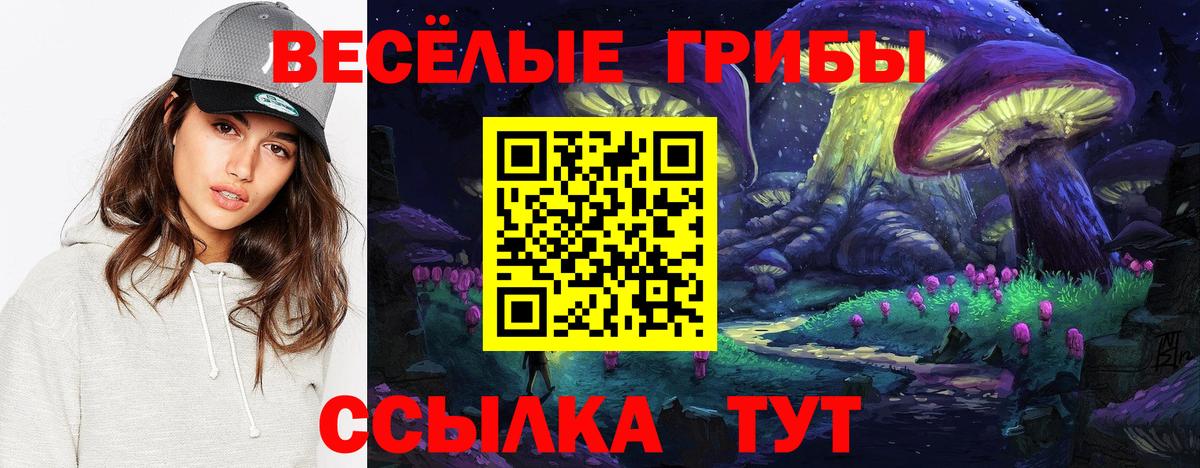 Псилоцибиновые грибы прущие грибы  Псилоцибиновые грибы GOLDEN TEACHER  наркота  Вход с VPN  Кызыл 