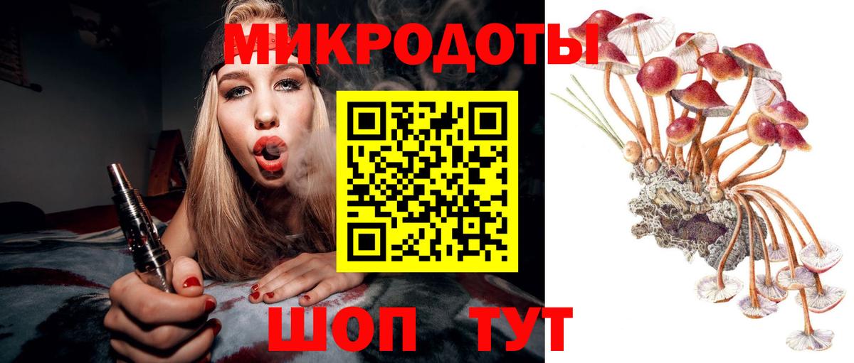 Псилоцибиновые грибы Cubensis Кызыл
